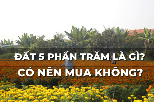 có nên mua đất 5 phần trăm không