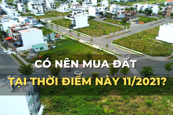 có nên mua đất tại thời điểm này 11 2021