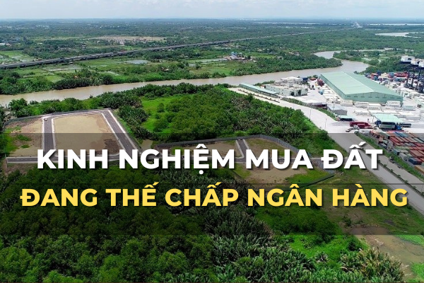 kinh nghiệm mua đất đang cầm cố ngân hàng
