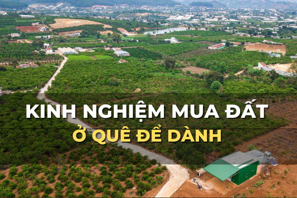 kinh nghiệm mua đất ở quê để dành