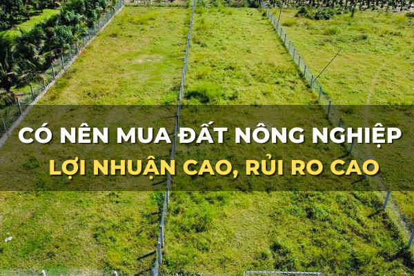có nên mua đất nông nghiệp