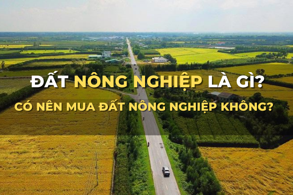 đất nông nghiệp là gì có nên mua đất nông nghiệp không