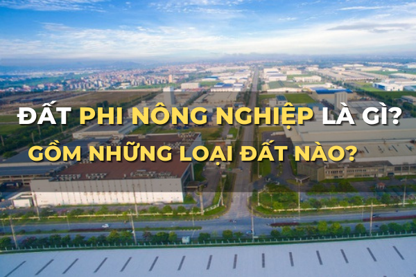 đất phi nông nghiệp