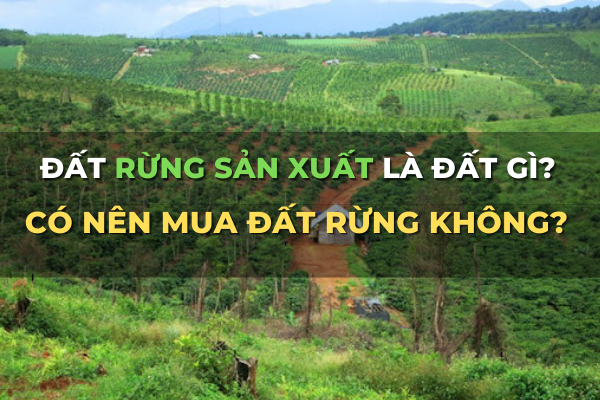 đất rừng sản xuất là đất gì có nên mua đầu tư không