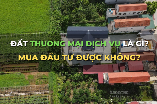 đất thương mại dịch vụ là gì mua đấu tư được không