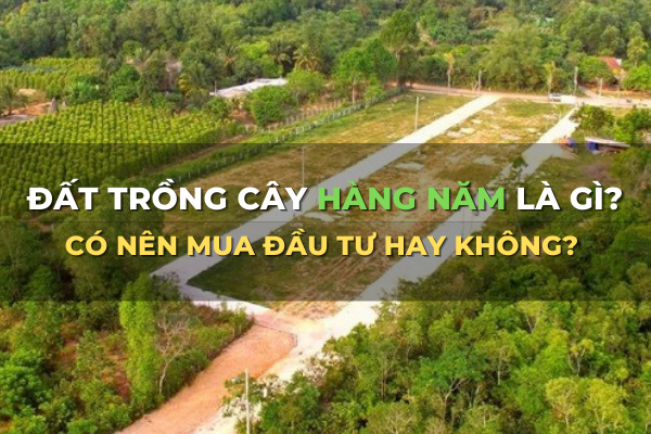 đất trồng cây hàng năm là gì có nên đầu tư không