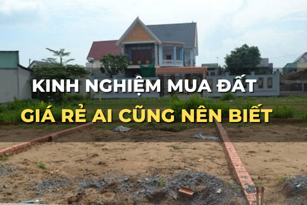 kinh nghiệm mua đất giá rẻ ai cũng nên biết