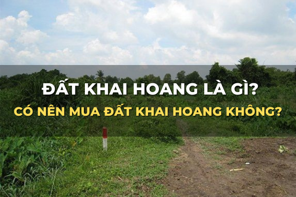thế nào là đất khai hoang, có nên mua đất khai hoang không giấy tờ