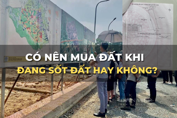 có nên mua đất khi đang sốt đất hay không