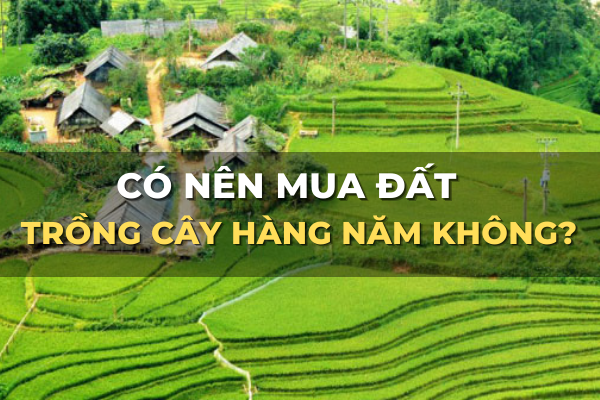 có nên mua đất trồng cây hàng năm đầu tư