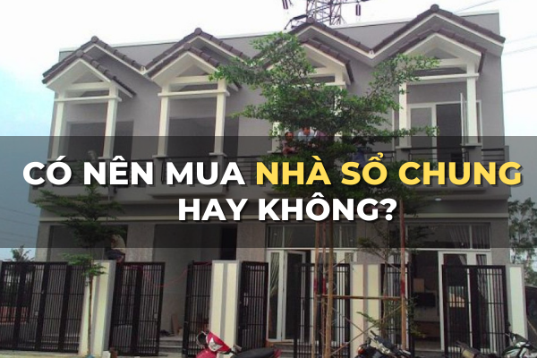 có nên mua nhà sổ chung hay không