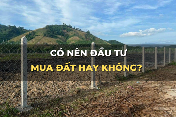 có nên đầu tư mua đất hay không